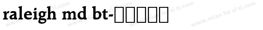 raleigh md bt字体转换
